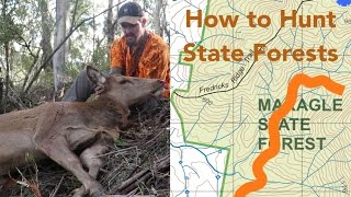 How to Hunt State Forests