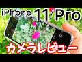 【超広角カメラ/ナイトモード】iPhone 11/11 Proのカメラ性能をXSと比較しながらレビュー！≪4K60fps≫