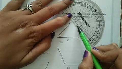 class 6 maths ch-9 ex.9.5
