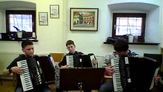 Y.M.C.A-  Village People-accordion trio cover