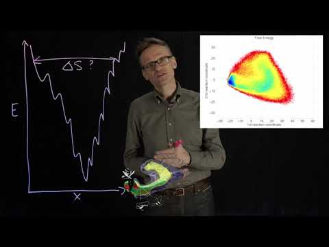 Video: Ar konformacinė entropija susijusi su b altymų lankstymu?