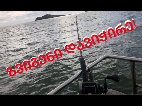 ზვიგენებზე ვნადირობთ!! არ გამოტოვოთ ეს ვლოგი!!