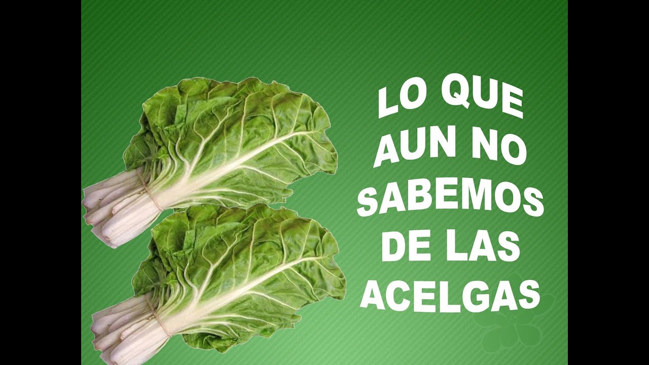propiedades acelga para adelgazar