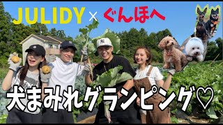 【JULIDY×ぐんほへ】1泊2日犬まみれグランピングが最高すぎ