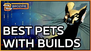 COMPANIONS 2.0 META & BEST BUILDS | Warframe screenshot 4