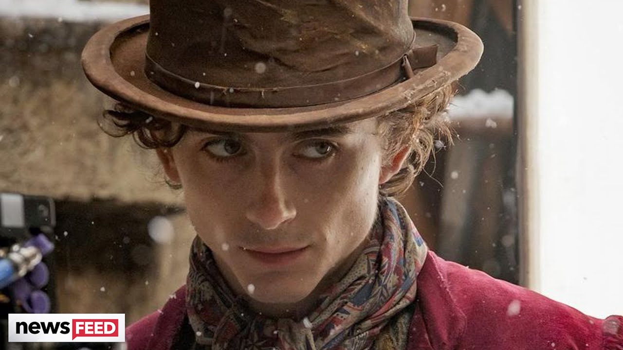 Timothee Chalamet Reveals Willy Wonka First Look to MIXED Fan Reactions!