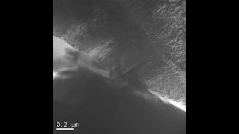 Twin nucleation and growth in pure rhenium