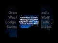 Grand Mound Centralia Washington Great Wolf Lodge Water Slides Caillou Swimsuit And Gina Bikini
