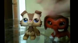 Lps Awards Chanels,Series,And Shorts