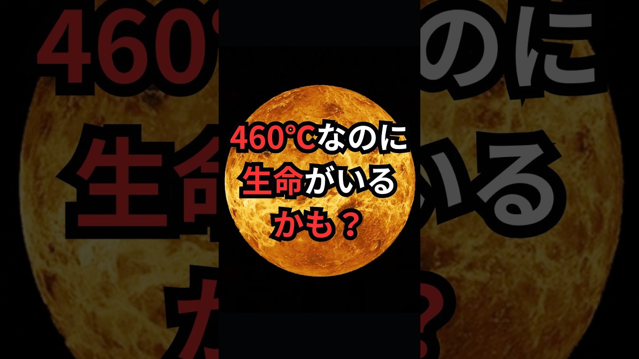 460℃なのに生命がいるかも? #金星 #宇宙雑学 #豆知識