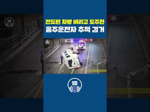 🚔전도된 차량 버리고 <strong>도주한</strong> 음주운전자 추적 검거🚨