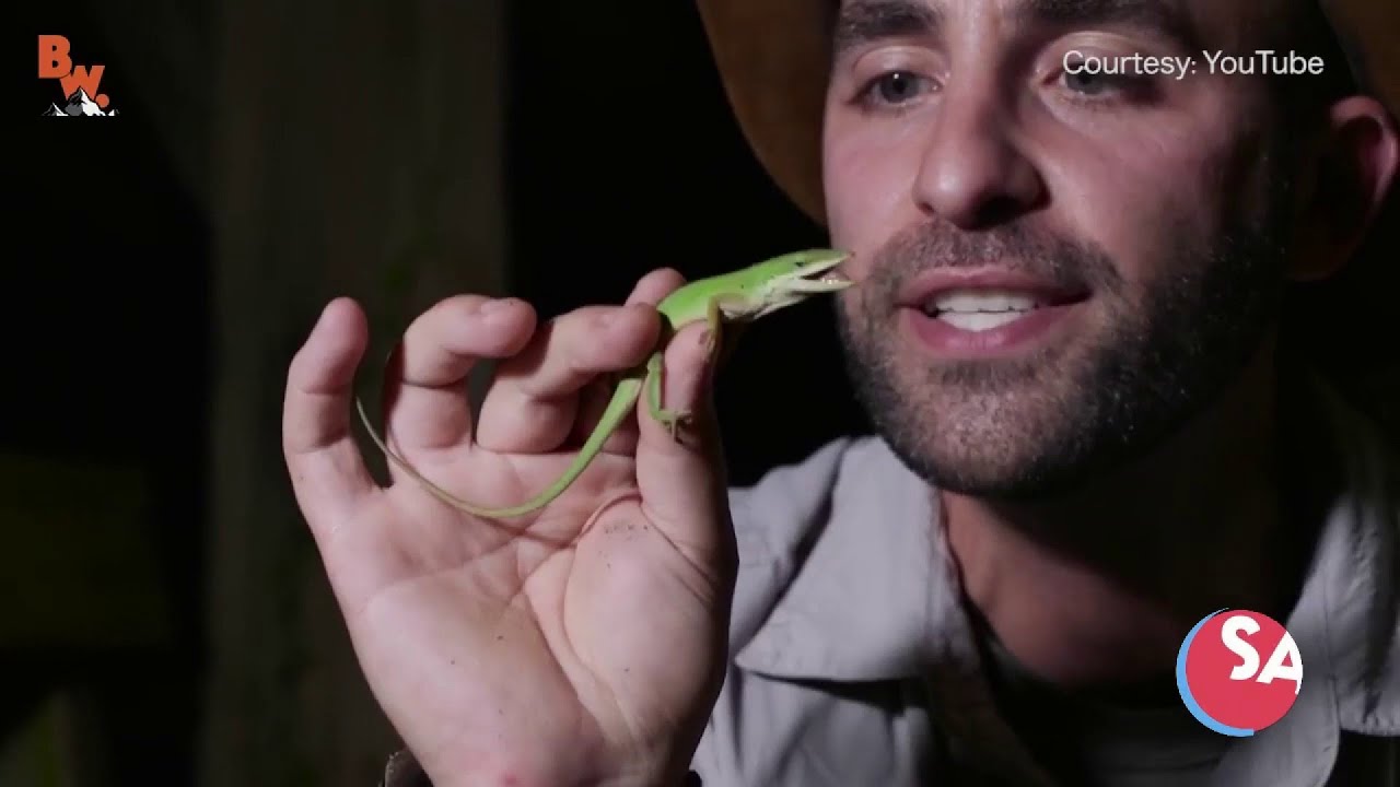 Free virtual summer camp with Coyote Peterson | SA Live | KSAT 12