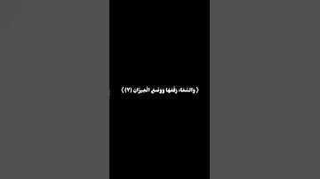 كروما شاشه سوداء قرأن كريم 🍁 تلاوة من سورة الرحمن 🍁 القارئ أحمد خضر 🍁