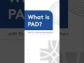 What is PAD? | Dr. Mehran Abolbashari