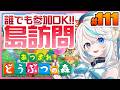 あつまれどうぶつの森 #112┊島訪問 第19回！初見さん大歓迎！ぜひぜひあなたの島を見せてください✨️【猫百合イッサ／StellarRealm】