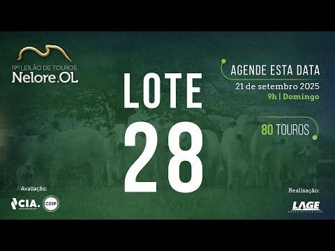 LOTE 28 V90806 - 19º Leilão de Touros Nelore OL