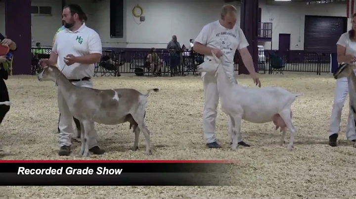Recorded grade Sr Nat'l show 2022
