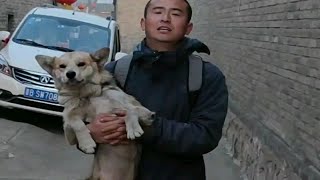骑行9个月，走遍祖国的大江南北1万公里，还捡了路边的残疾狗累计驮着骑行8000公里，一路走来，所有的快乐和艰辛只有自己知道，未读万卷书愿行万里路，这一切都值了