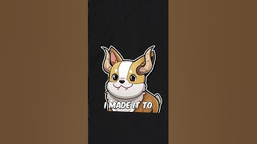 How I Blew Up My Nintendo Wii #shorts