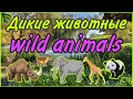 ЖИВОТНЫЕ АФРИКИ ВИДЕО ЗВУКИ / ЖИВОТНЫЕ ДЛЯ ДЕТЕЙ / WILD ANIMALS / TEACH ANIMALS / УЧИМ ЖИВОТНЫЕ