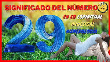 ¿Qué significa la norma 29?