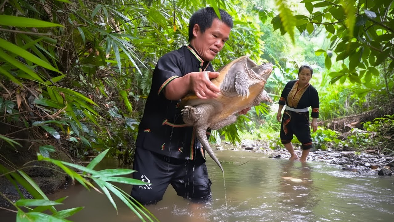 The dwarf family rescues a trapped turtle - Harvesting bamboo shoots, tending the garden together