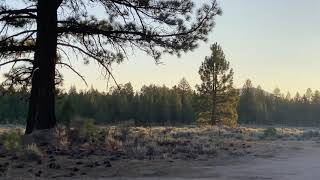 Ambient Sounds - Relaxing Mountain Meadow + Poly 2 app Test screenshot 2