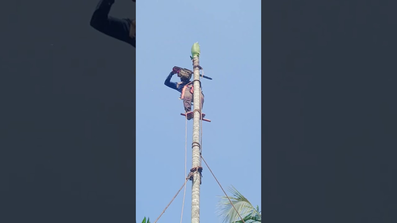 റിസ്ക് ഉള്ളത് മുറിക്കൽ എങ്ങിനെ 