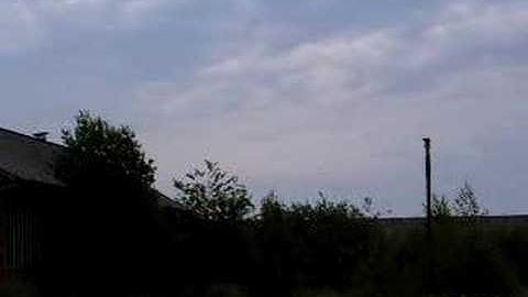 Gierzwaluwen Werkhuizen