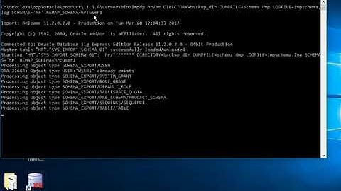 Importing data by using REMAP keyword in Oracle.