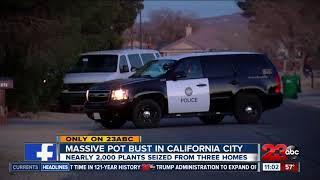 Officers served search warrants to three homes and arrested people for
illegal marijuana operations in california city.