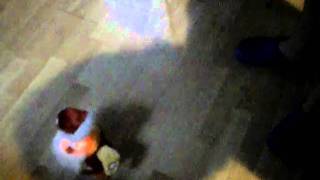 DSCN1127.AVI