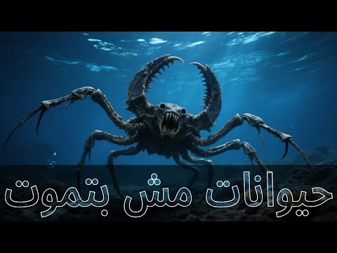 أقدم ١٠ كائنات حية على وجه الأرض كائنات لا تموت