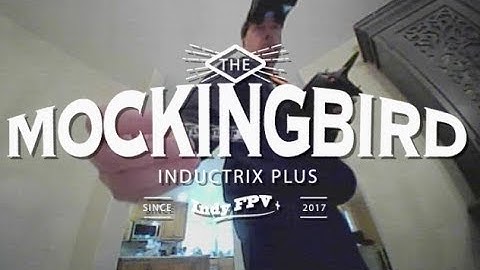 IndyPlus Mockingbird Indoor Insanity