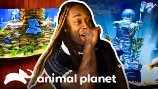 Ty Dolla $igns Stunning New Fish Tank And Other Replicas! | Tanked | Animal Planet