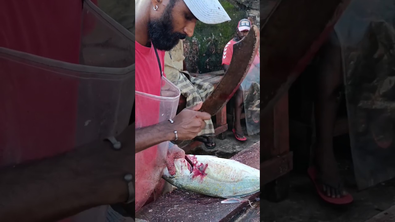 TREVELLY FISH CUTTING 