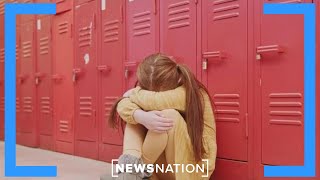 Information AI cyberbullying is worse and virtually unstoppable, experts fear | NewsNation Now Update