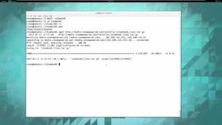 Dedicated Server Install Linux   host part1