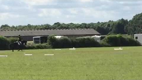 Talented Young Eventer - Ad ref 153425