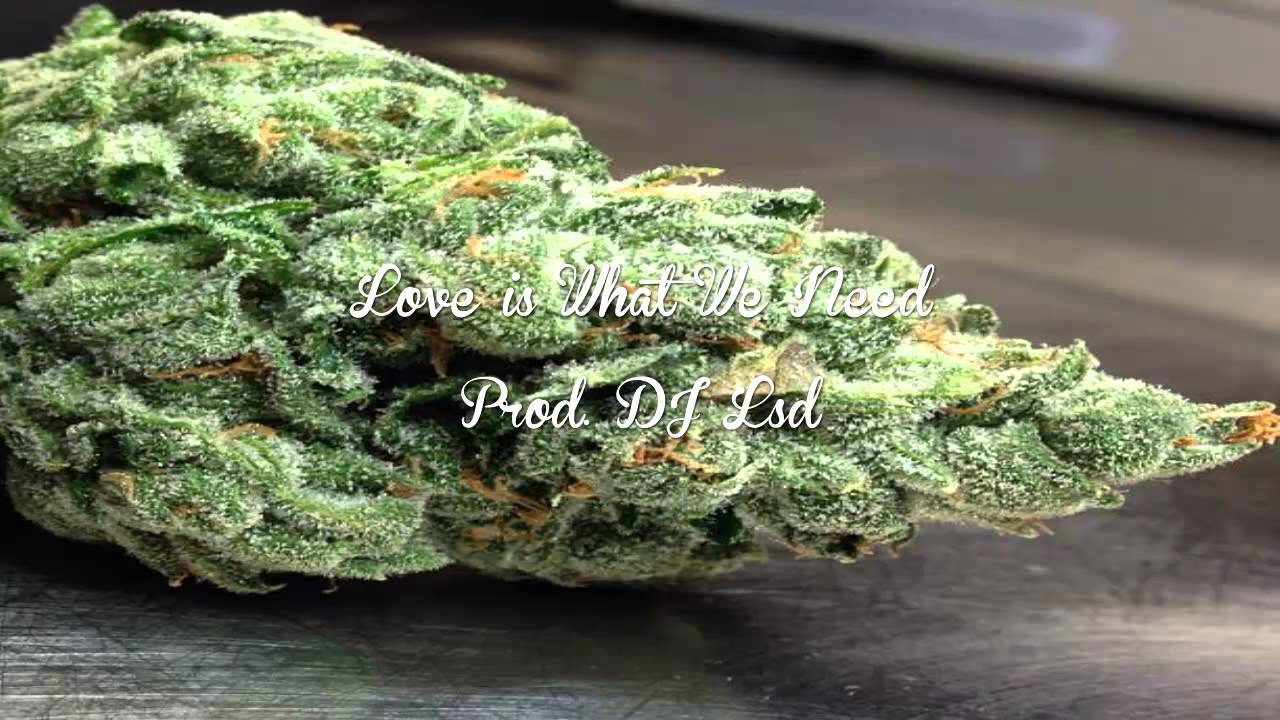 Love is What We Need (Reggae/Rap) - DJ LSD