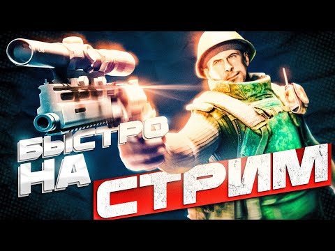 Видео: ПРАЗДНУЕМ 5 ЛЕТ КАНАЛА!  | Читаю 99% Чата #тарков