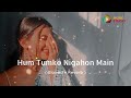 Hum Tumko Nigahon Main (slowed + Reverb ) song | Salman khan Mp3 Song
