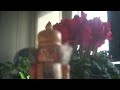 My First DIY DOF Adapter Test Video