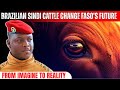 How Brazilian Sindi Genetics are Breaking the Sahel's Dependency on European Dairy