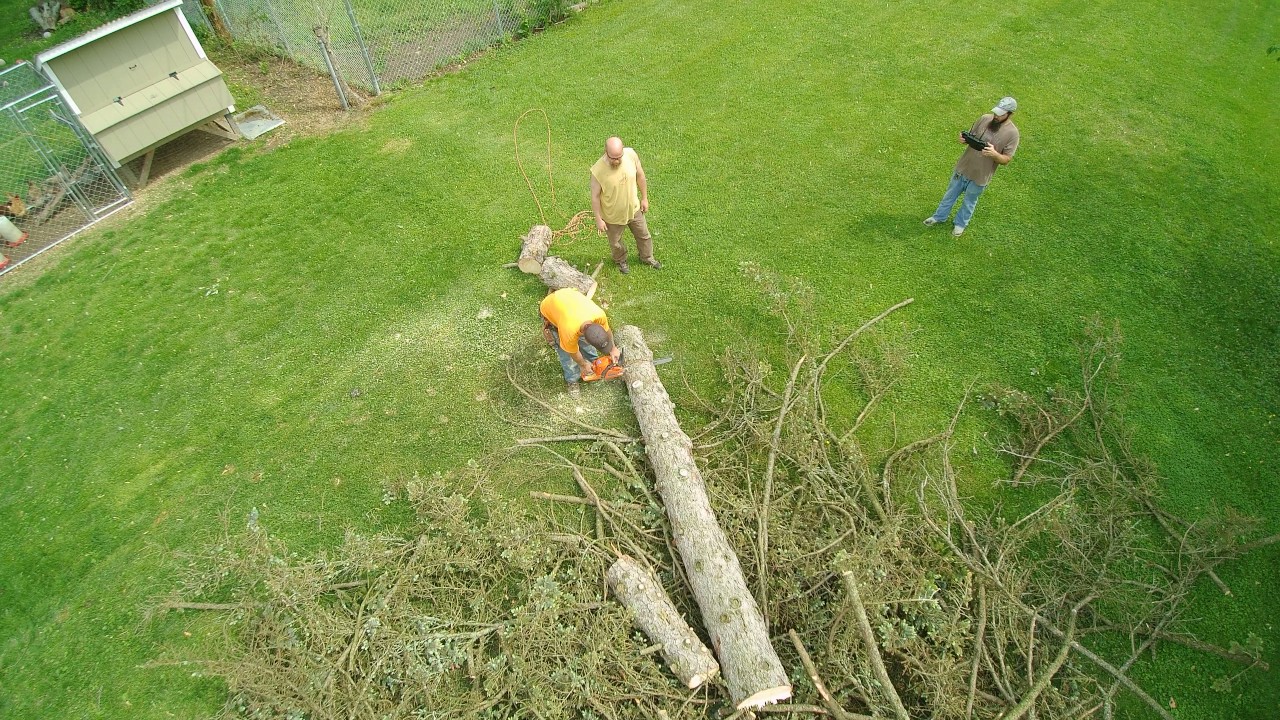 More of the clean up from the big pine tree in our back yard. - YouTube