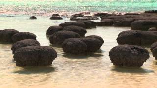 NOVA: Australia's First 4 Billion Years