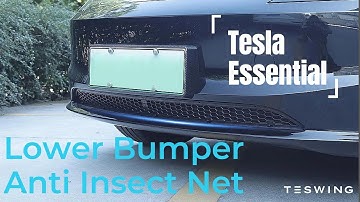 How to Install the Teswing Lower Bumper Anti-Insect Net on a Tesla