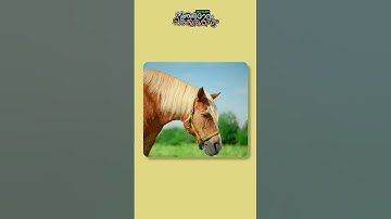 ഇത്തിരി നേരം ഒത്തിരി കാര്യം - EP 22