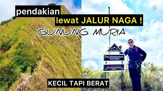 PENDAKIAN GUNUNG MURIA VIA RAHTAWU PUNCAK NATAS ANGIN