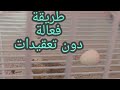 حل لمشكلة وضع إناث الحسون و الكناري للبيض في أرضية القفص